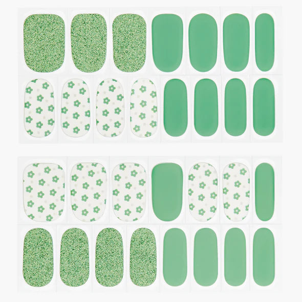 Kit de gel Minty flora